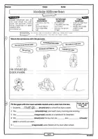 Vorschau - Arbeitsblätter - Modale Hilfsverben • ABs + Musterlösung - Seite 3