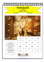 Vorschau - Spiele - 29.0037 - Rechenpuzzle - Römische Zahlen - Deckblatt