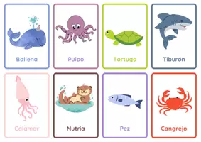 Vista previa - Tarjetas / Manipulativos - 24 tarjetas - Animales marinos - página 1