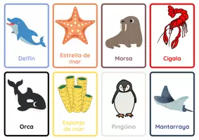 Vista previa - Tarjetas / Manipulativos - 24 tarjetas - Animales marinos - página 2