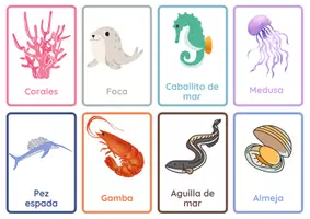 Vista previa - Tarjetas / Manipulativos - 24 tarjetas - Animales marinos - página 3