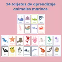 Vista previa - Tarjetas / Manipulativos - 24 tarjetas - Animales marinos - Portada