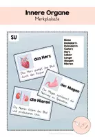 Vorschau - Poster - Innere Organe Merkplakate - Deckblatt
