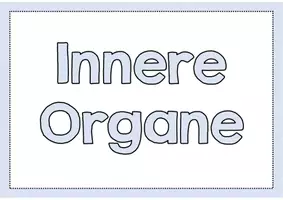 Vorschau - Poster - Innere Organe Merkplakate - Seite 1