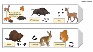 Vorschau - Spiele - Leporello Wildtiere und Spuren - Seite 1