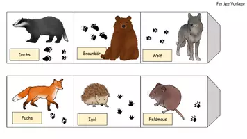 Vorschau - Spiele - Leporello Wildtiere und Spuren - Seite 2