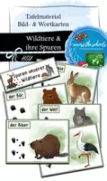 Vorschau - Präsentationen/Tafelbilder - Spuren heimischer Wildtiere: Tafelmaterial - Deckblatt