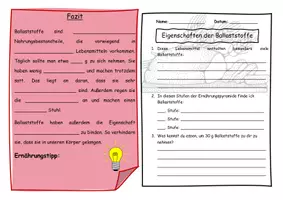 Vorschau - Stundenentwürfe - Unterrichtsblock Bedeutung der Ballaststoffe - Seite 2