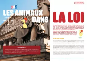 Aperçu - Jeux - Mon journal animal #4 / Les animaux dans la loi - Page 3