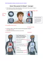 Vorschau - Arbeitsblätter - Was passiert im Körper bei Stress? - Deckblatt