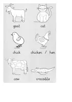 Vorschau - Stationenlernen - Lerntrainer: Animals (2x 63 Karten!) - Seite 2