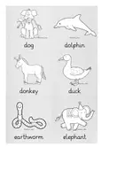 Vorschau - Stationenlernen - Lerntrainer: Animals (2x 63 Karten!) - Seite 3