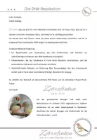 Vorschau - Arbeitsblätter - Die DNA-Replikation - Entdeckendes Lernen am Modell - Seite 1