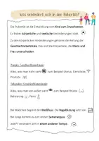 Vorschau - Arbeitsblätter - Sexualkunde - Was verändert sich in der Pubertät - Seite 2