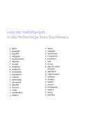 Vorschau - Fördermaterial/Inklusion - Wortschatz DaZ Gefühle - Bildkarten zur Sprachförderung - Gefühlskarten in Silbenschrift, Silbenschreibweise - Bildkarten & Wortkarten - Bild- und Wortkarten - Seite 2