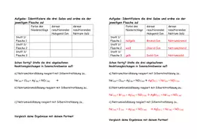 Vorschau - Arbeitsblätter - Nachweis Halogenidionen Ionen Halogene Chlor Iod Brom Salz Salze Experiment - Deckblatt
