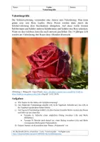 Vorschau - Arbeitsblätter - Valentinsgrüße (Arbeitsblatt, Philosophie / Ethik) - Deckblatt