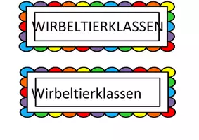 Vorschau - Poster - Schilder: WIRBELTIERKLASSEN - Deckblatt