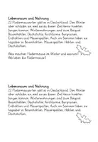 Vorschau - Arbeitsblätter - Fledermäuse: Gruppenarbeit, Text, Lückentext - Seite 1