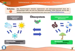 Vorschau - Unterrichtsreihen - Belastungsfaktoren im Ökosystem - Seite 3