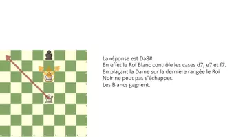 Aperçu - Feuilles d'exercices - COURS D'ECHECS ENTRAINEUR/FORMATEUR B.BISSARO - Page 2