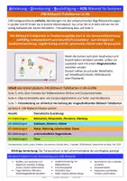 Vorschau - Spiele - Bildwort-Tafelkarten für Gedächtnistraining und spannende Spiele in der Seniorenbetreuung - Seite 1