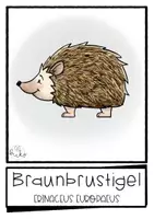 Vorschau - Arbeitsblätter - Tiersteckbriefe und Bildkarten (Tierbeschreibung, Tierreferat) - Seite 2