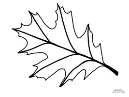 Vorschau - Arbeitsblätter - PATTERN-ART „HERBST“: Herbstblätter mit Muster befüllen (Zentangle) - Seite 3