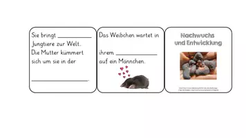 Vorschau - Unterrichtsreihen - Der Nachwuchs des Maulwurfs - gesamte Unterrichtseinheit - Seite 1