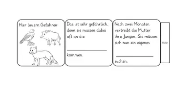 Vorschau - Unterrichtsreihen - Der Nachwuchs des Maulwurfs - gesamte Unterrichtseinheit - Seite 2