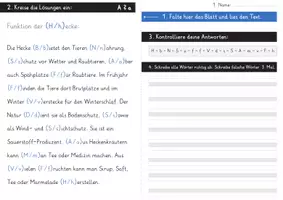 Vorschau - Arbeitsblätter - Rechtschreibung, FRESCH - Arbeitsblätter, Lernspiele, Merkblätter - Seite 2