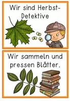 Vorschau - Unterrichtsreihen - Herbst Reihentransparenz - Bäume , Blätter und ihre Früchte - Seite 2