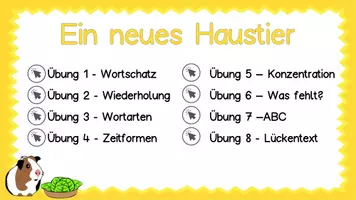 Vorschau - Arbeitsblätter - Meerschweinchenkauf - Lernwörter interaktiv üben - inkl. Arbeitsmaterial zum Festigen und Wortkarten - Seite 2