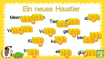 Vorschau - Arbeitsblätter - Meerschweinchenkauf - Lernwörter interaktiv üben - inkl. Arbeitsmaterial zum Festigen und Wortkarten - Seite 3