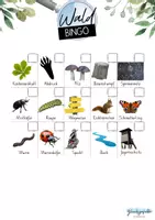 Vorschau - Aufgabenkarten - Bingo Wald, Rallye, Natur, Schnitzeljagd - Seite 1
