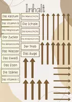 Vorschau - Präsentationen/Tafelbilder - Tafelbild: Die Kartoffelknolle/ Die Nährstoffe der Kartoffel - Seite 2