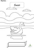 Vorschau - Arbeitsblätter - Swan - Writing Practice/Colouring Page Animals - Deckblatt