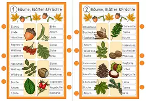 Vorschau - Spiele - Herbst - Klammerkarten - Blätter und Früchte - Seite 1