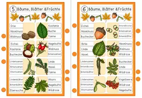 Vorschau - Spiele - Herbst - Klammerkarten - Blätter und Früchte - Seite 3