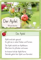 Vorschau - Arbeitsblätter - Wissenskartei - Der Apfel - Seite 2