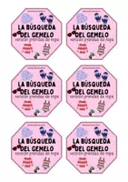 Vista previa - Juegos / Gamificación - La Búsqueda del Gemelo: versión prendas de ropa - Portada