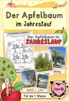 Vorschau - Arbeitsblätter - Der Apfelbaum im Jahreslauf (Arbeitsblatt & Tafelmaterial) - Deckblatt