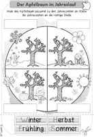 Vorschau - Arbeitsblätter - Der Apfelbaum im Jahreslauf (Arbeitsblatt & Tafelmaterial) - Seite 1