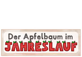 Vorschau - Arbeitsblätter - Der Apfelbaum im Jahreslauf (Arbeitsblatt & Tafelmaterial) - Seite 2