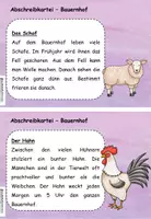 Vorschau - Arbeitsblätter - MEGA Materialpaket Abschreibkartein / Lesekarteien Klasse 2 und 3 - Seite 3