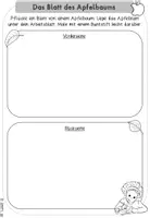 Vorschau - Stundenentwürfe - Apfelkunst: Apfeldruck & Blätter abpausen (Arbeitsblatt & Anleitung) - Seite 2