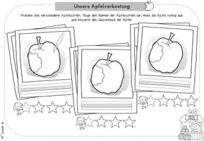 Vorschau - Arbeitsblätter - Die Apfelsorten und Apfelverkostung (Arbeitsblätter & Tafelmaterial) - Seite 2