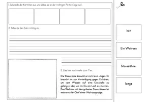 Vorschau - Arbeitsblätter - Klebeheft Meerestiere (Sätze) - Seite 2