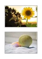 Vorschau - Bildkarten - Fotokartei Sommer - Seite 2