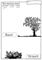 Vorschau - Unterrichtsreihen - OBST & GEMÜSE Wo wächst was? - Arbeitsblätter - Seite 1